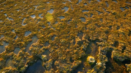 The Flow Country: Volunteering Opportunities for Young People Aged 16 to 25