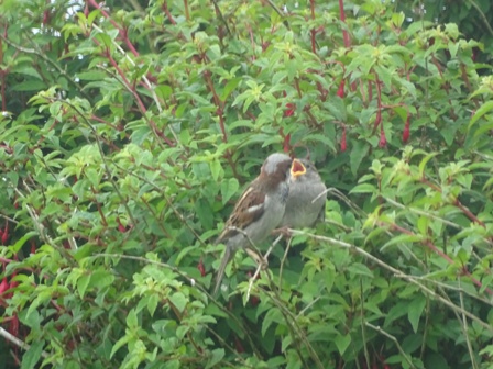 Just a sweet picture –