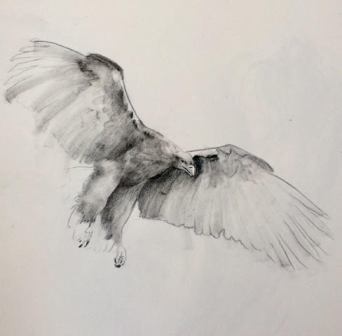 no still life: New Exhibition at Northlight Gallery