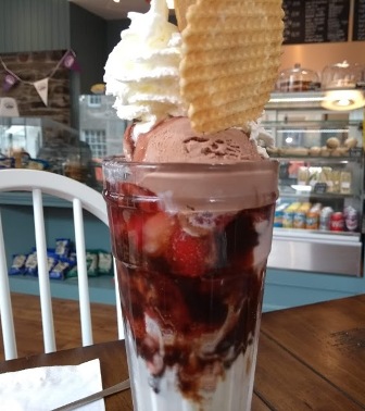 The Daily Scoop: Food Review