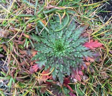 Earth Overshoot Day – Let’s #Movethedate