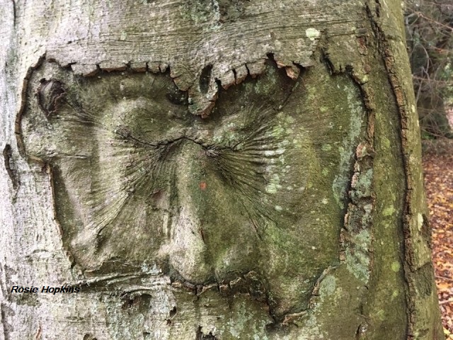 Facing Up To Mother Nature