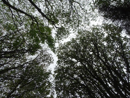 Weather Forecast: Bright spells and passing showers. Strong westerly winds in afternoon.