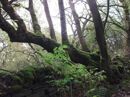 Weather Forecast: Breezy, a little rain over Orkney. A wet evening.