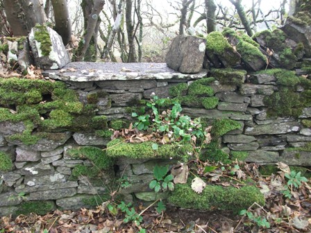 Weather Forecast: Rain during morning, giving way to blustery showers for afternoon.