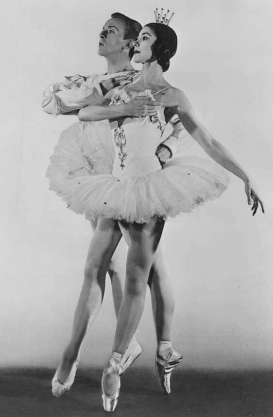 Poetry Corner Sleeping Beauty