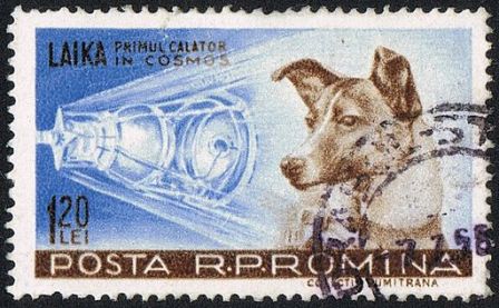 Laika: #Onthisday