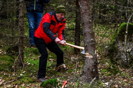 Orkney Norway Friendship Marked With 2019 Christmas Tree Cutting in Bringsværd Forest