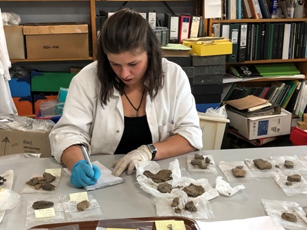archaeologist working through the finds and noting them down