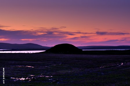 The large rounded mound of Maeshowe at sunset