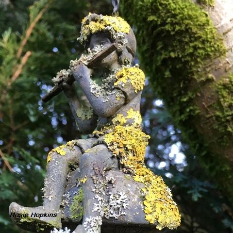 “The Kingdom of Fungi”