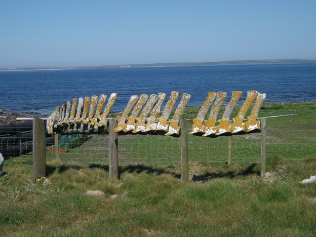 Weather Forecast: Dry, mild with plenty of sunshine. Fresh or strong winds.