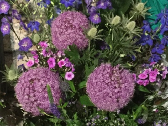 EDITORIAL – I  would like to thank –