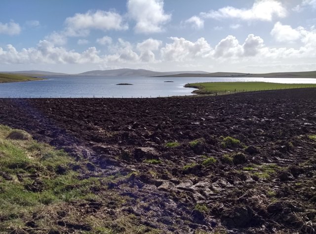 Weather Forecast: Mainly dry and bright.