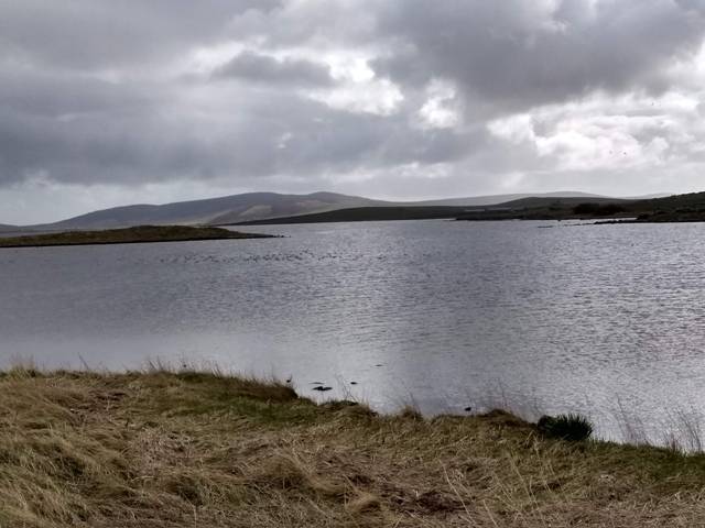 Lockdown Week 2 Orkney #COVID19 #Coronavirus