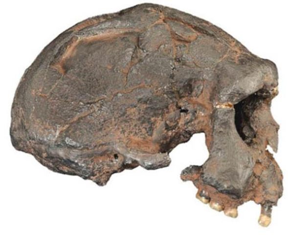 We’re All Jock Tamson’s Bairns……