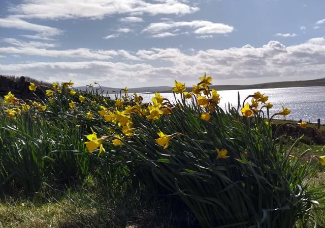 Weather Forecast: Mainly dry but a little drizzle possible at times.