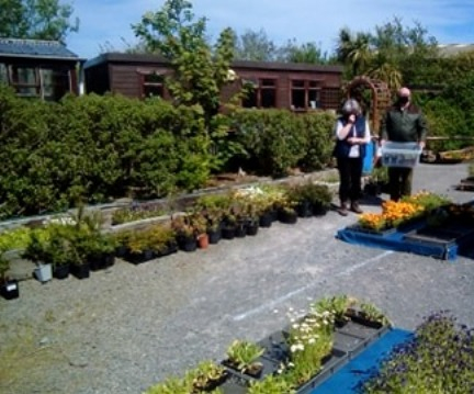 St Colms Plant Sale