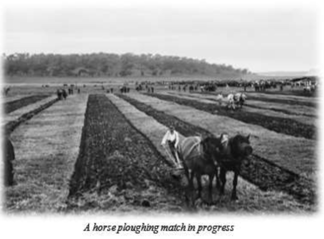 Records of a Bygone Age: We Plough The Fields and Scatter Part 2
