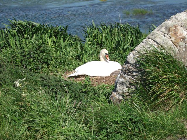 Weather Forecast Bright with a few showers