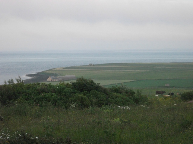 Poetry Corner: Bed in Summer