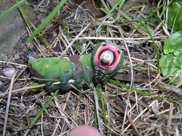 Weather Forecast:Dry and bright start. Rain later.