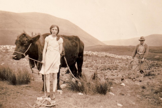 Visit the Heritage of Hoy Online
