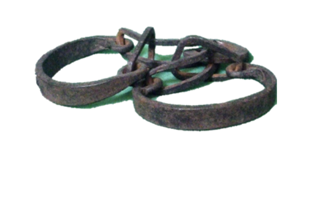 Orkney and the West African connection