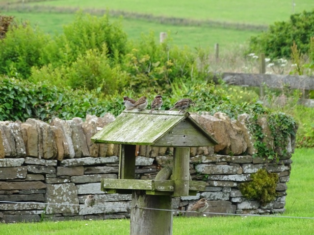 The Chorus of Spring