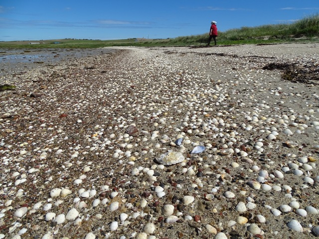 Weather Forecast: Very warm and bright in Orkney.