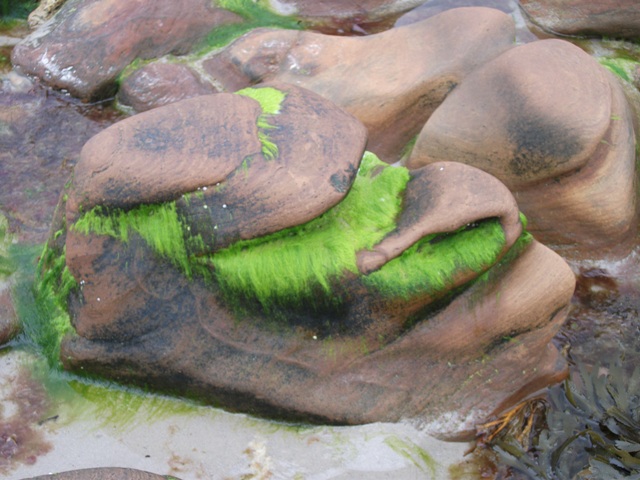 A Different Kind Of Rock Art – Part Nine