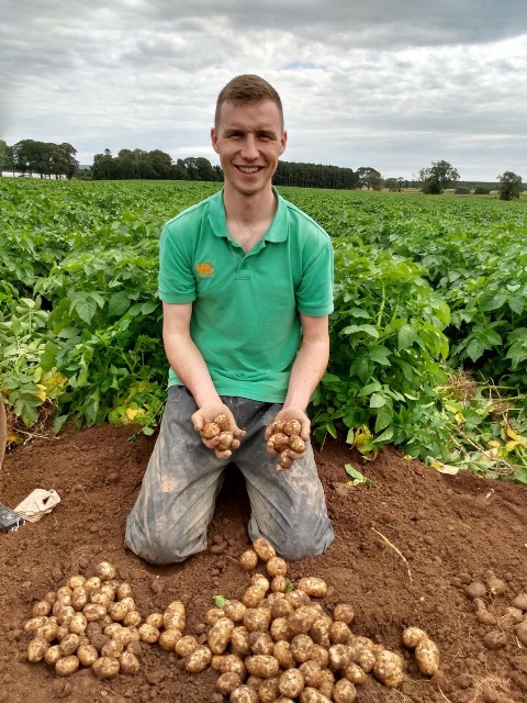 Using New Tech To Improve Seed Potato Crop