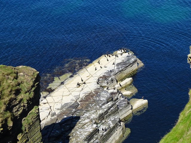 Weather Forecast: Sunshine, showers, possibly wintry at first in strong northerly winds.