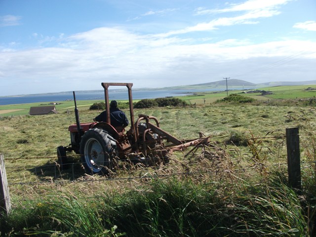 Saving The Hay