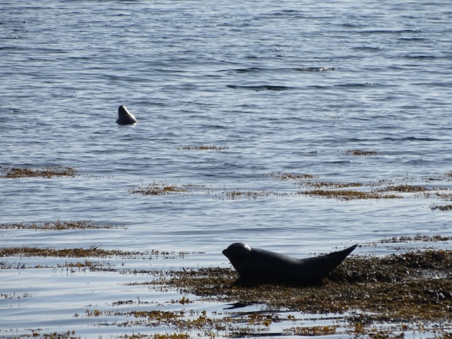 When Conservation Produces Division