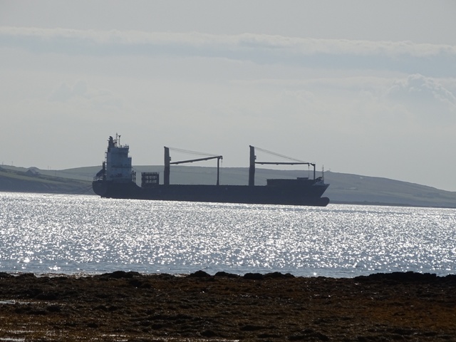 100 Companies Dominate Our Oceans