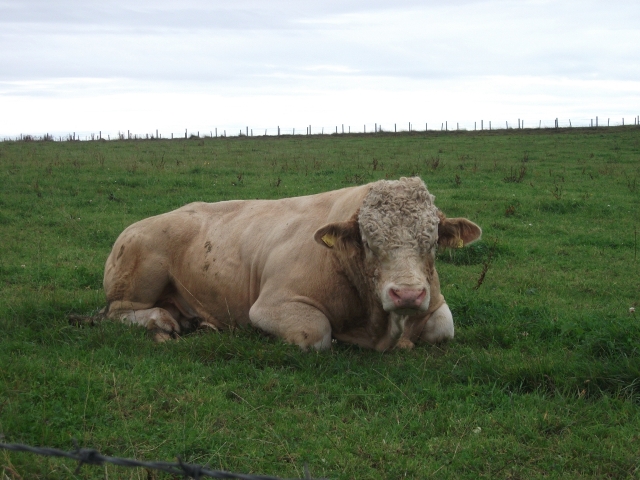 Farmers Reflect on Changes to their Sector