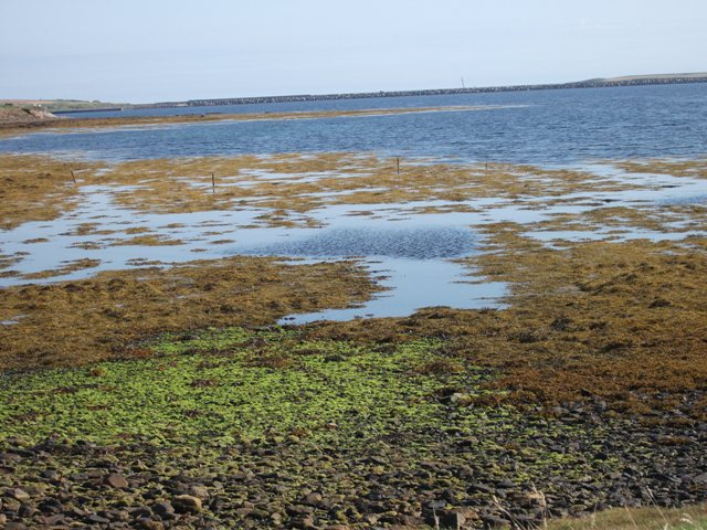 Weather Forecast: Mainly dry, bright on Sunday with sunny spells developing.