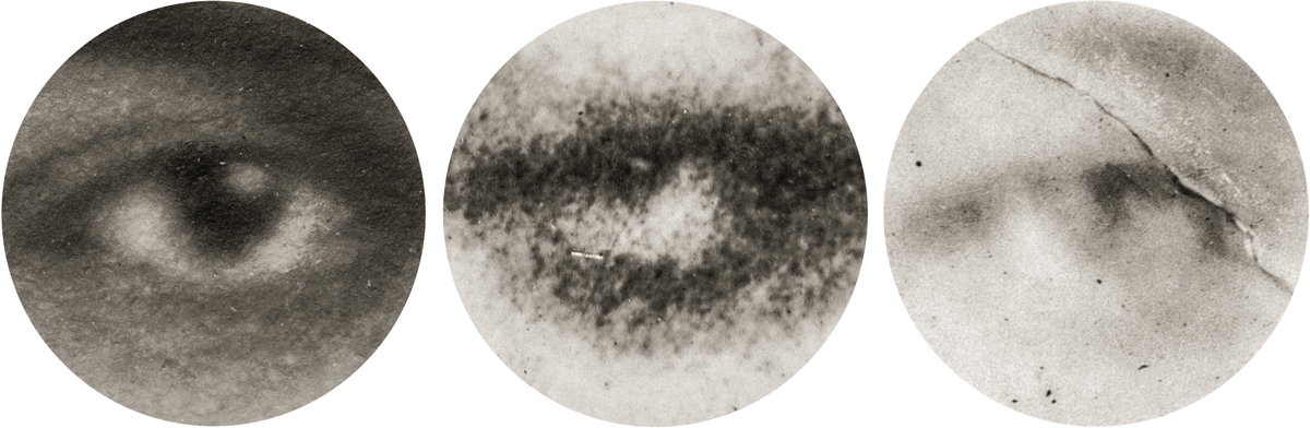 In The Windows at Northlight: ‘Shell Shock and Foresight ‘