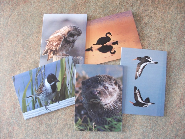 Kairds By Card – et al…