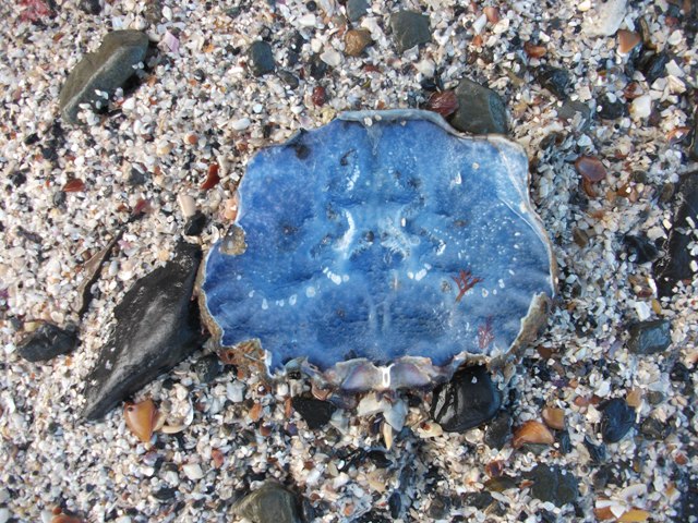 A Walk On Bu Sand, Burray – If You Can Get to It!