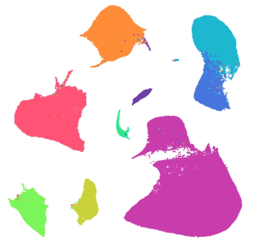 Atlas of the Human Heart