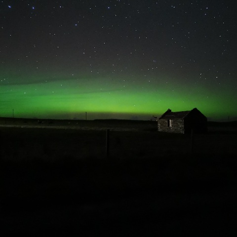 A Personal Tribute To Dr. Euan MacKie And His Work