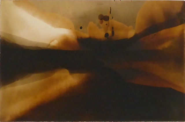 ‘Lockdown Landscapes’ by Ingrid Budge