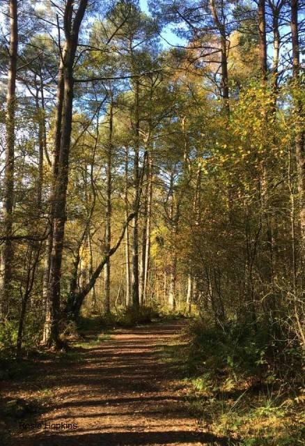 “Delicious Autumn”