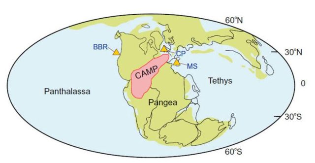 End-Triassic mass extinction: evidence for oxygen depletion on the ocean floor