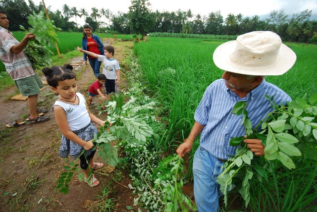The Paradox of Plenty – Farming Matters