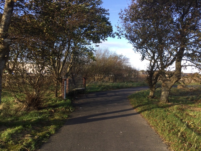 Volunteers Transforming Arcadia Park