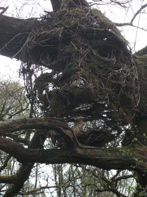 Poetry Corner: Strange after Samhain