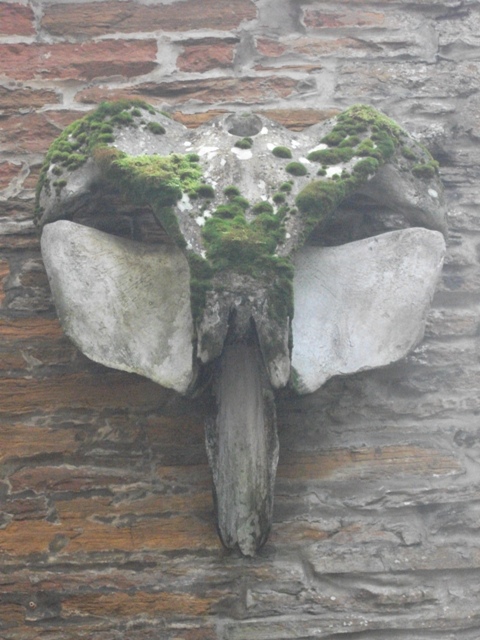 It Doesn’t Have To Be Big…..To Be A Garden…